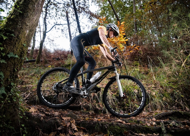 Femme à vélo dans la forêt