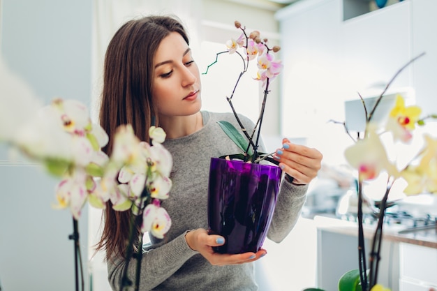 Femme vérifiant ses orchidées dans la cuisine. Heureuse femme au foyer prenant soin des plantes et des fleurs de la maison.