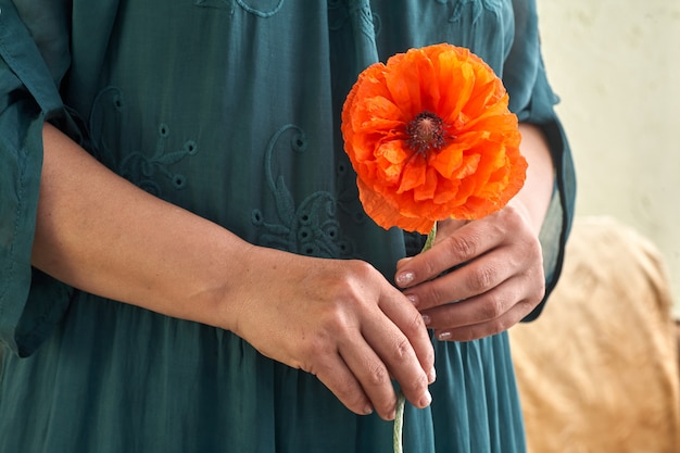 Femme, vert, robe, tenue, poppe, fleurs, fin, haut, mains Rêves de printemps.