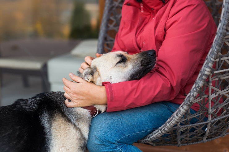 Photo une femme en veste rouge joue et caresse un chien de berger assis sur une chaise en osier