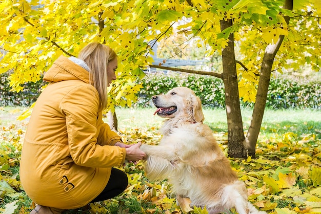 Femme en vêtements chauds avec son retriever dans un parc d'automne parmi les feuilles jaunes.