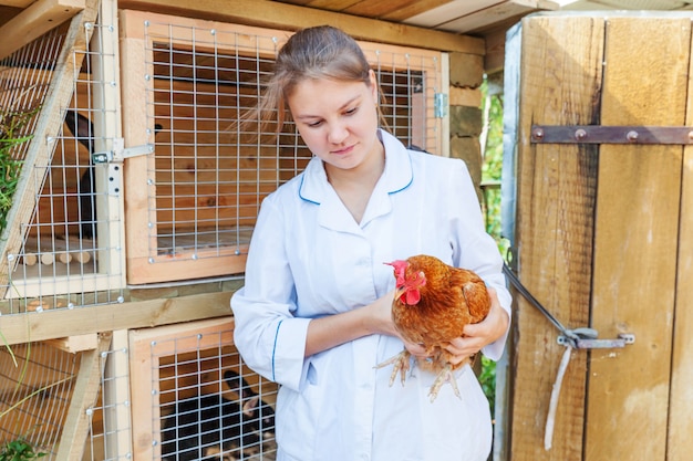 Femme vétérinaire avec stéthoscope tenant et examinant le poulet sur ranch