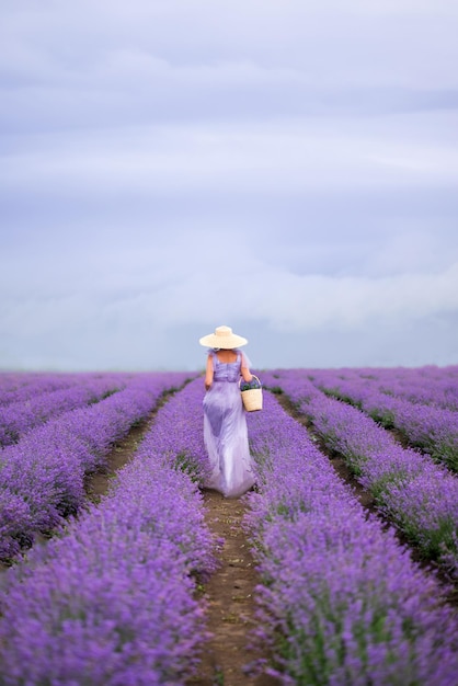 Une femme vêtue d'une longue robe lilas moelleuse se promène dans un champ de lavande Dans les mains d'un panier de fleurs et d'un chapeau en osier sur la tête Photo de dos