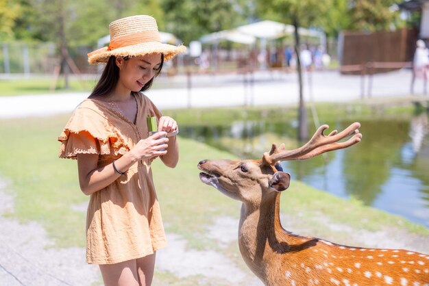 Une femme de voyage nourrit une collation aux cerfs Sika de Formosan