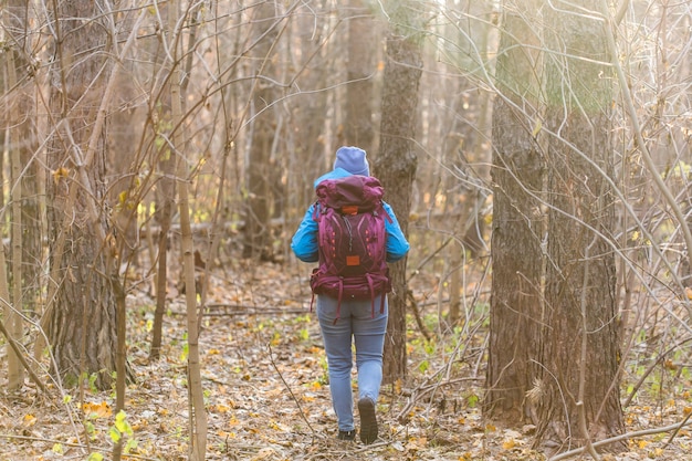 Femme de voyageur marchant dans la forêt, vue arrière