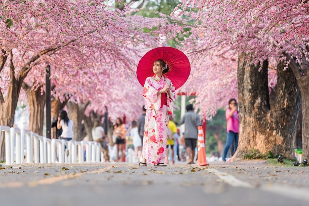 Femme en yukata (robe kimono) tenant un parapluie et à la fleur de sakura ou fleur de cerisier en fleurs dans le jardin