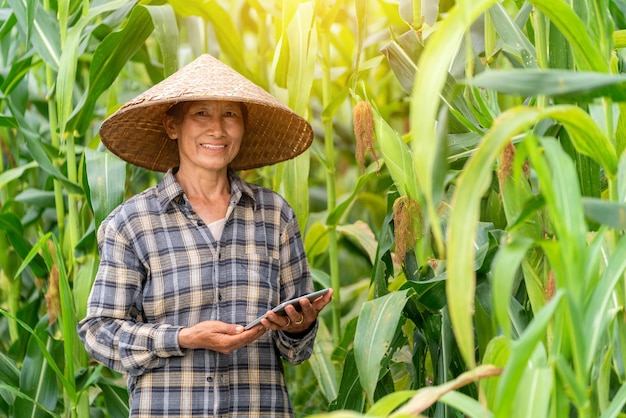 Les femmes asiatiques dans le champ de maïs ou de maïs biologique sourire et tenant une tablette utilisent la technologie dans le champ de maïs Agriculture