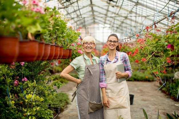 Femmes dans le jardin de la serre