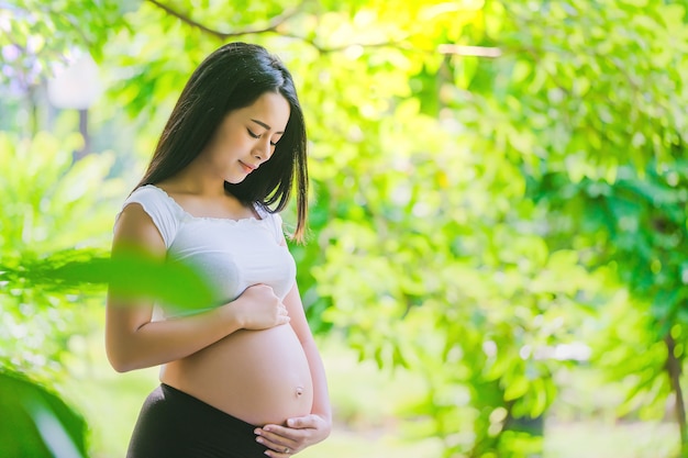 Les Femmes Enceintes Soutiennent L'estomac à La Main Et La Nature Brillante.