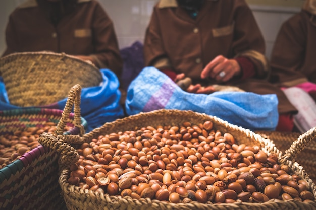 Femmes marocaines travaillant avec des graines d&#39;argan pour extraire l&#39;huile d&#39;argan.