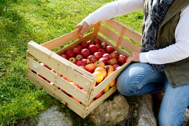 Femmes montrant des pommes fraîchement cueillies