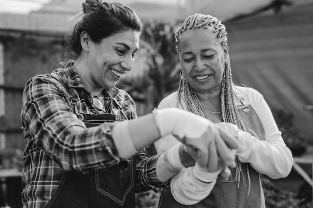 Photo femmes mûres multiraciales travaillant ensemble à l'intérieur du jardin à effet de serre