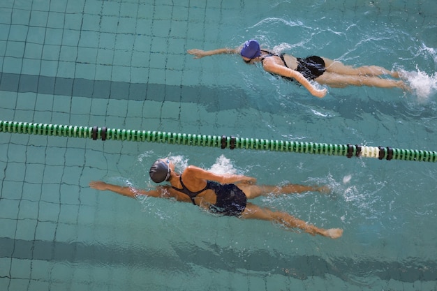 Femmes nageurs de course dans la piscine