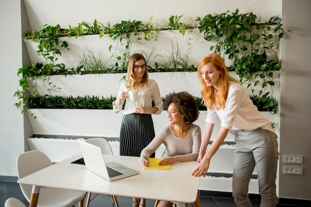 Femmes professionnelles multiraciales gaies travaillant dans le bureau moderne