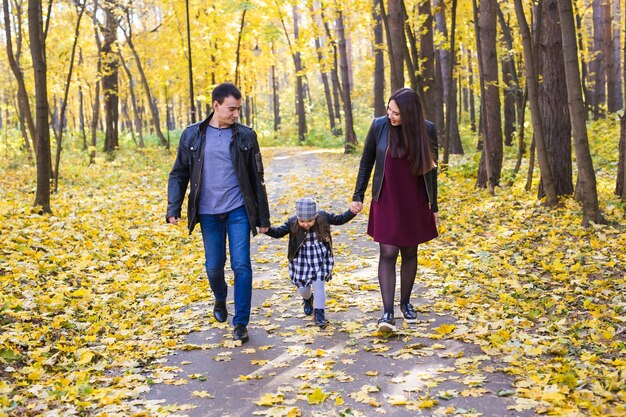 Photo des femmes se promènent dans la forêt en automne.