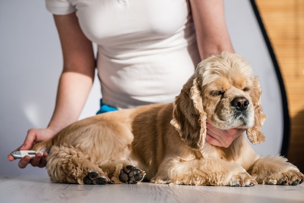 Photo les femmes se soucient de son chien pour vérifier la température à l'intérieur