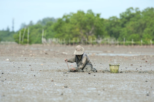 Photo les femmes trouvent des coquillages dans le sol