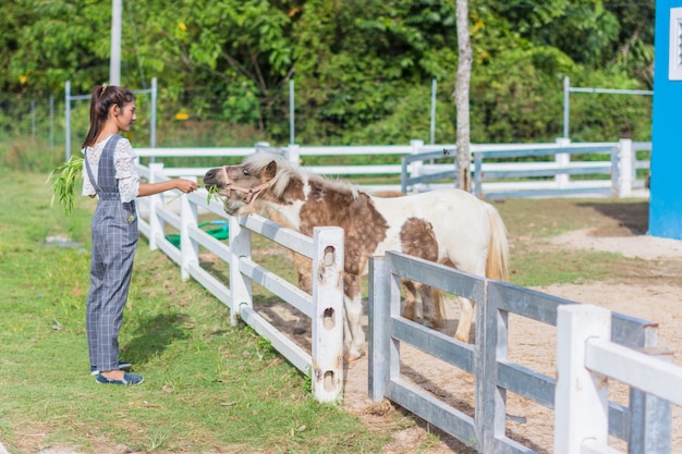 Femmes voyageant pour observer les animaux