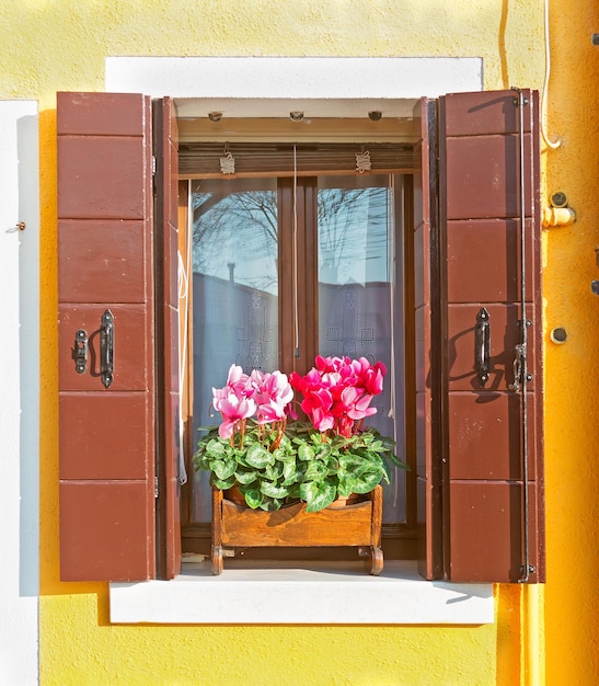 Fenêtre en bois dans un mur jaune avec des cyclamens