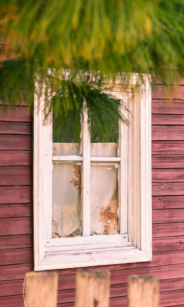 Fenêtre avec cadres blancs et rideau entouré d'un mur en bois de cerisier mise au point sélective
