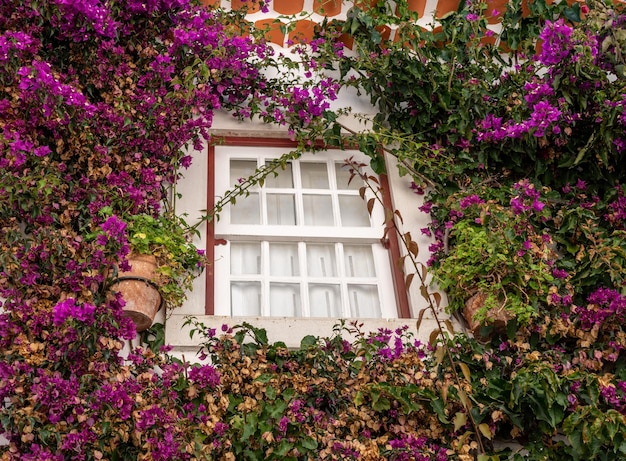 Fenêtre envahie par la ville fortifiée d'Obidos, dans le centre du Portugal