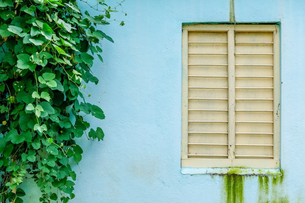 Fenêtre à l'extérieur de la maison