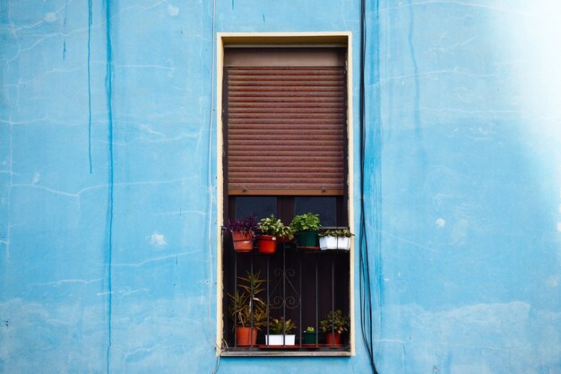 fenêtre sur la façade bleue du bâtiment