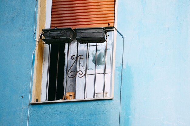 Fenêtre sur la façade du bâtiment bleu dans la rue dans la ville de Bilbao en Espagne