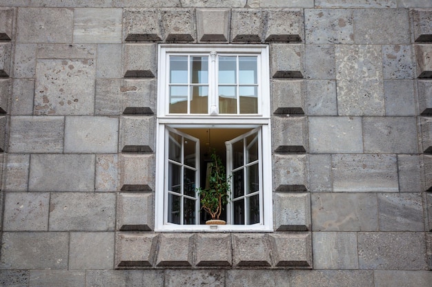 Fenêtre avec une fleur dans le château d'état