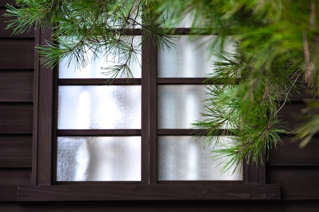 Fenêtre japonaise de style ancien et tissu blanc à l&#39;intérieur. le pin vert sur le devant