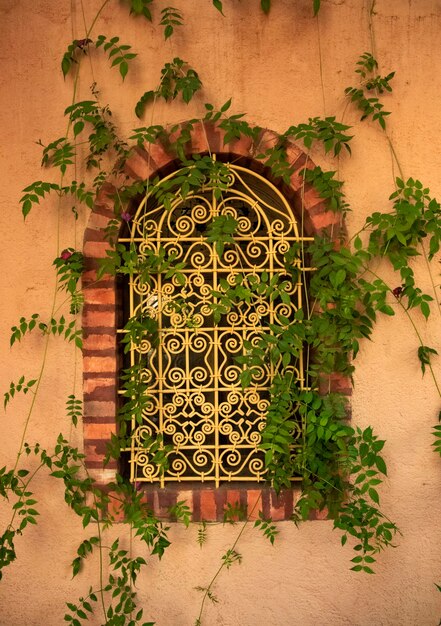 Une fenêtre marocaine avec des plantes entrelacées.