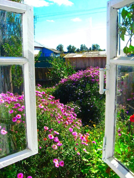 Photo fenêtre ouverte avec vue sur le jardin