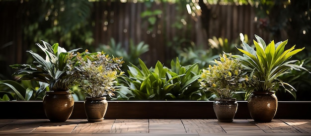 Une fenêtre avec des plantes et une clôture en bois derrière.