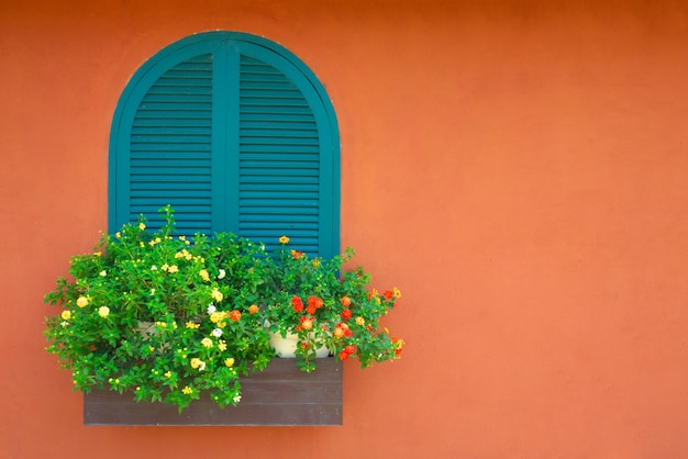 Fenêtre et pot de fleurs avec mur peint en orange en arrière-plan