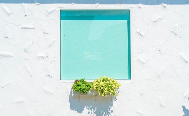 fenêtre en verre sur un mur blanc avec pot de fleur