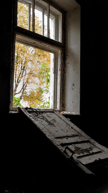 Photo une fenêtre vers un nouveau monde