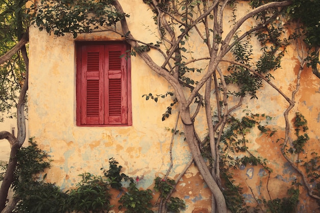 Fenêtre avec volet rouge d'Anafiotika dans la ville d'Athènes, en Grèce.