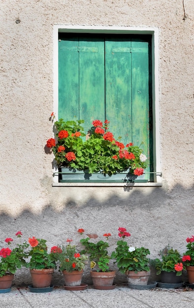 Fenêtre avec volet vert fermée sur une façade de vieille maison avec des fleurs de géranium en pots