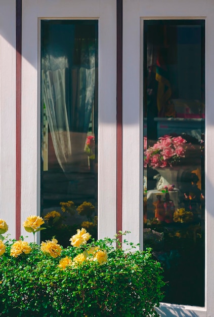 fenêtres en bois blanc avec réflexion sur la surface du verre derrière la plante de brousse devant la maison vintage