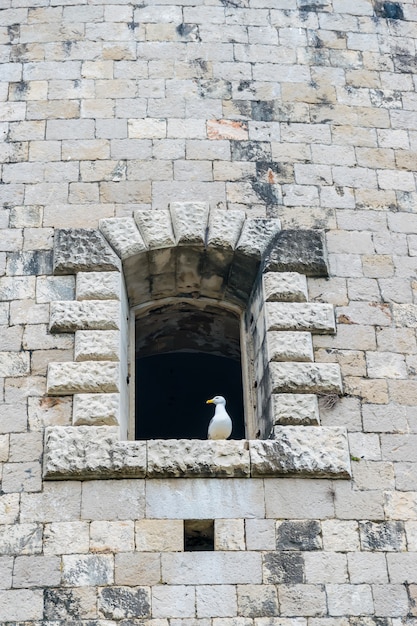 Fenêtres dans les murs de pierre de la forteresse Mamula. Monténégro, baie de Boka-Kotor.