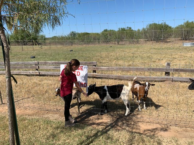 Une ferme d'animaux par une journée d'été