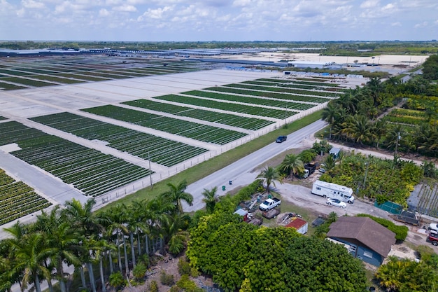 Une ferme avec beaucoup d'arbres et un bâtiment en arrière-plan