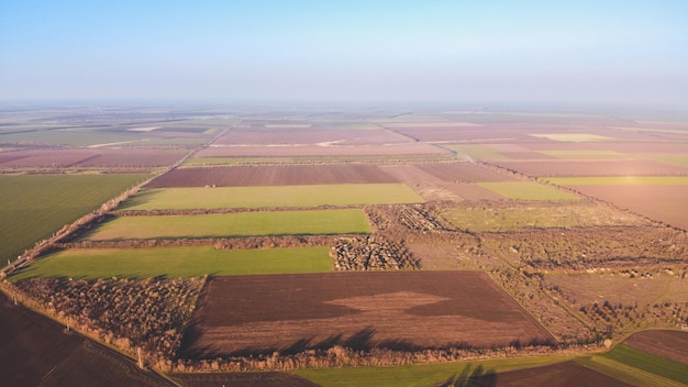 Ferme de campagne champs agricoles verts et bruns photo aérienne