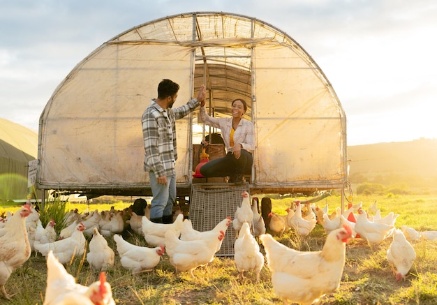 Ferme de campagne d'éleveurs de poulets et agriculture durable élevage pour une récolte d'œufs saine et durable Couple moderne dans la nature planification des animaux et santé de la volaille agricole biologique