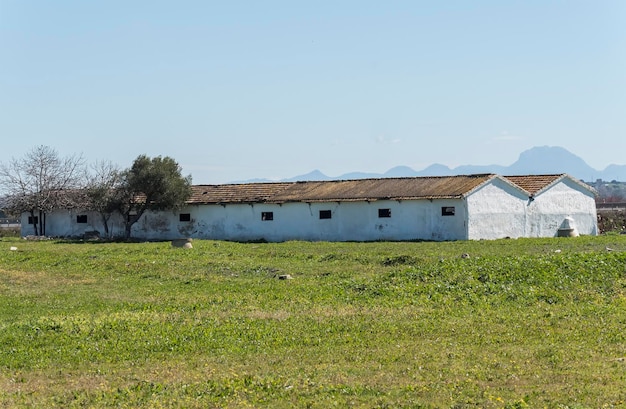 Ferme à la campagne