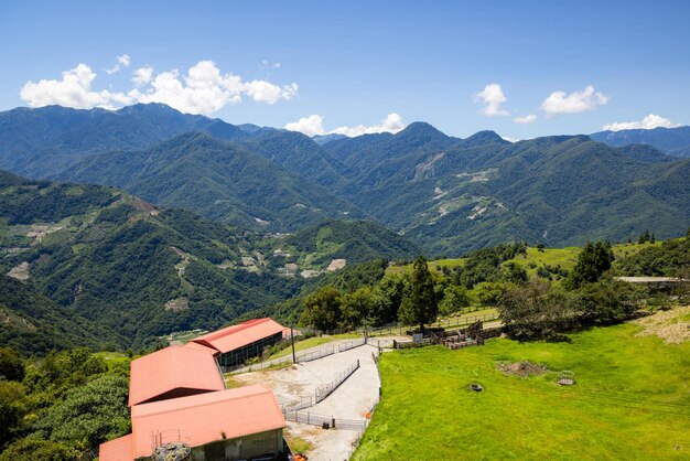 Photo ferme de cingjing à nantou à taïwan