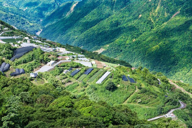 Ferme Cingjing à Taïwan