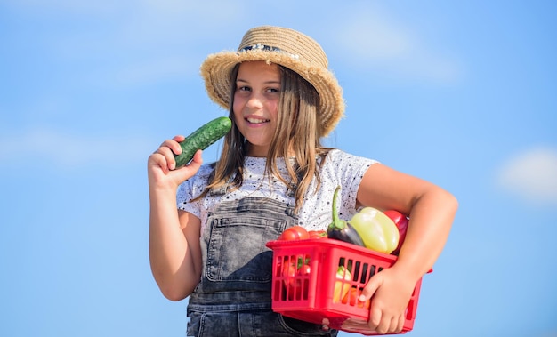 Ferme familiale Fille adorable enfant agriculture Saison des récoltes Enfant porter la récolte Acheter des aliments biologiques Journée ensoleillée à la ferme Légumes dans le panier Travail d'enfant à la ferme Petit concept d'aide Légumes mûrs