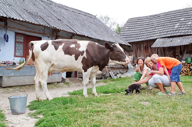 Ferme familiale avec veau et chien jouant.