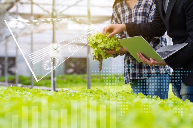 Ferme hydroponique avec technologie chercheur expert agricole introduire propriétaire agriculteur vérifier un bon équilibre de l'eau et de l'oxygène comme les lumières de température niveau de pH système d'humidité de la plante en croissance